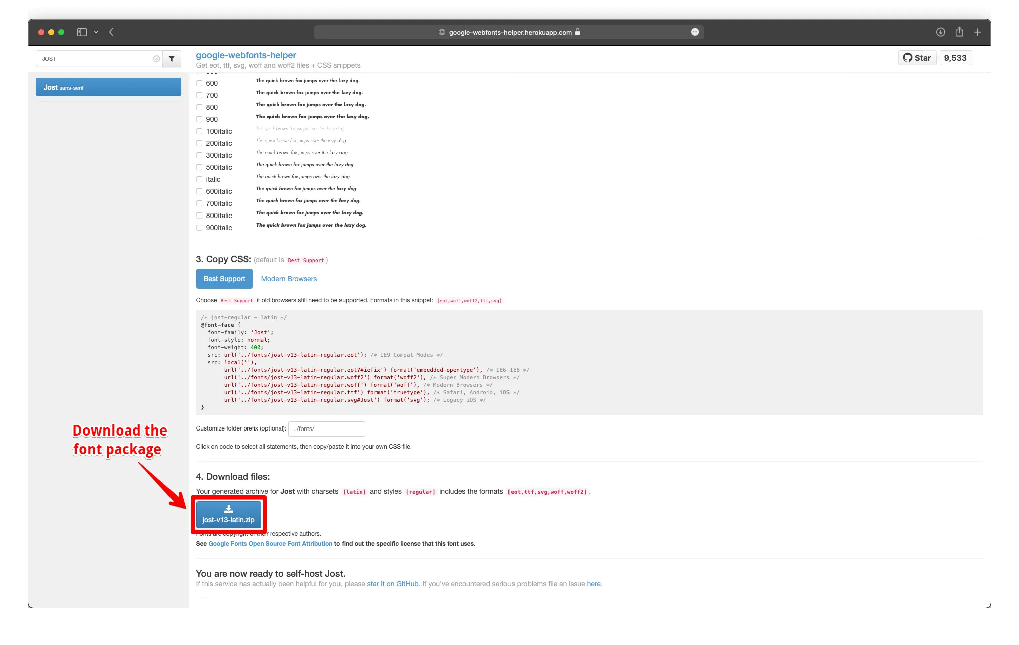 Google Fonts Helper website — interface for downloading a locally-hostable version of a Google Font, with weight selectors and CSS preview